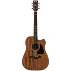 IBANEZ ARTWOOD TRADITIONAL ACOUSTIC AW54CE OPEN PORE NATURAL