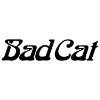 BAD CAT AMP