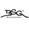 BSG GUITAR MUSICAL INSTRUMENT